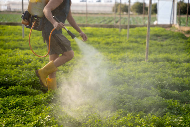 Best Exterminator Services  in Sutton, NE