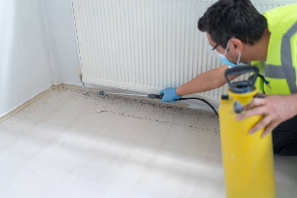 Professional Pest Control in Sutton, NE